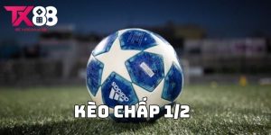 Kèo chấp 1/2 - Trải nghiệm cá độ siêu hấp dẫn tại TX88