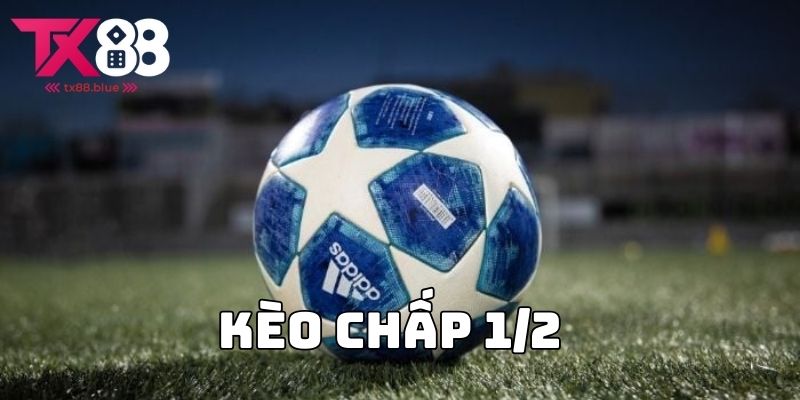 Kèo chấp 1/2 - Trải nghiệm cá độ siêu hấp dẫn tại TX88