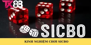 Kinh Nghiệm Chơi Sicbo Giúp Thắng Lớn Tại TX88