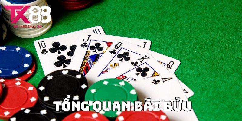 Tổng Quan Bài Bửu