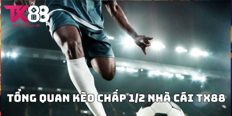 Tổng quan Kèo chấp 1/2 nhà cái TX88