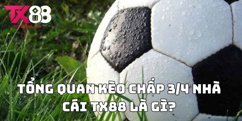 Tổng quan Kèo chấp 3/4 nhà cái TX88 là gì?