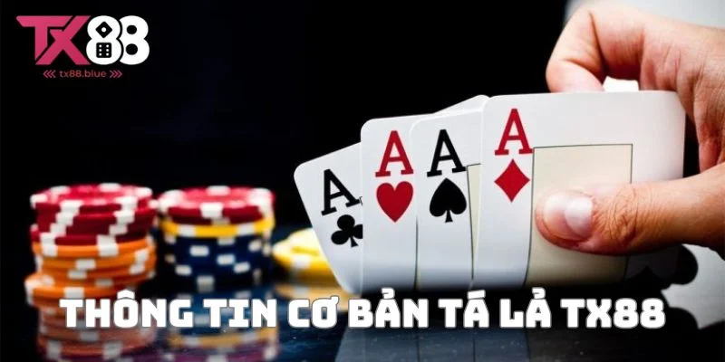 Tổng quan sơ lược về tá lả TX88